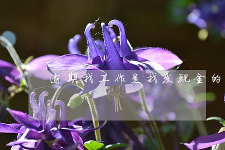 逾期找工作是找发现金的工作吗