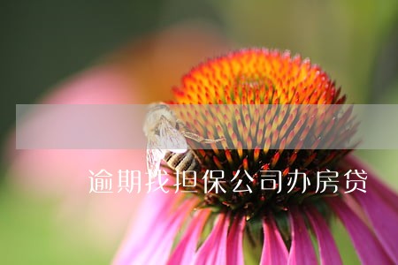 逾期找担保公司办房贷 逾期找担保公司办房贷