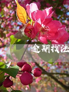 逾期找法务协商需要多少费用 逾期找法务协商需要多少费用