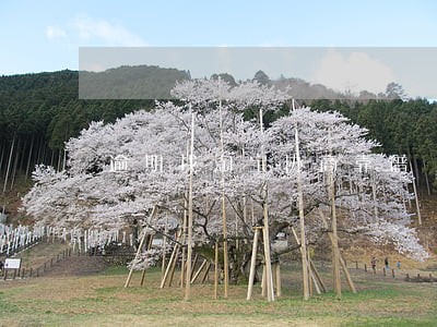 逾期找淘宝协商靠谱 逾期找淘宝协商靠谱