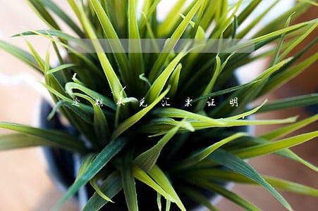逾期承兑汇票证明 逾期承兑汇票证明