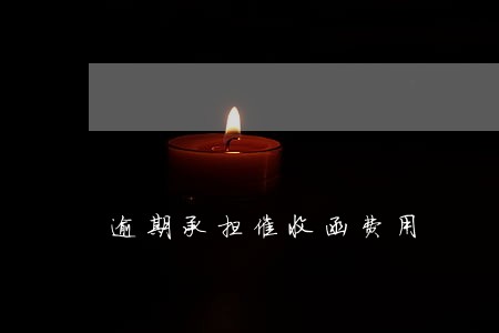 逾期承担催收函费用 逾期承担催收函费用