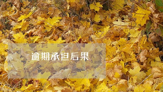 逾期承担后果
