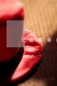 逾期承担违约金 逾期承担违约金