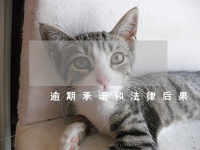 逾期承诺和法律后果