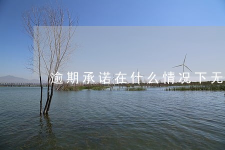 逾期承诺在什么情况下无效 逾期承诺在什么情况下无效
