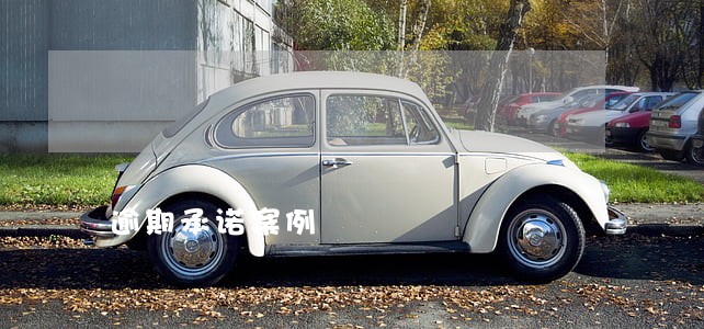 逾期承诺案例 逾期承诺案例
