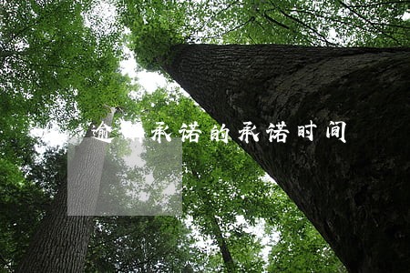 逾期承诺的承诺时间 逾期承诺的承诺时间