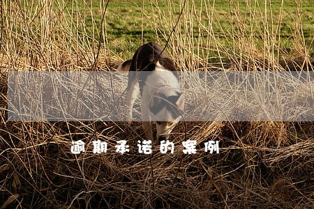 逾期承诺的案例 逾期承诺的案例