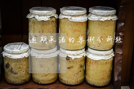 逾期承诺的案例分析题