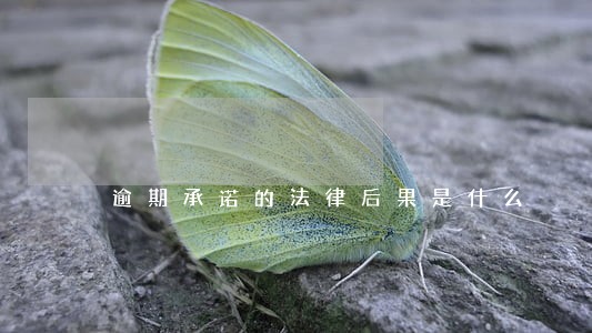 逾期承诺的法律后果是什么 逾期承诺的法律后果是什么