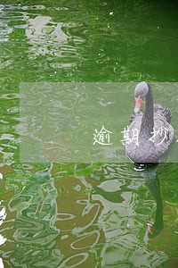 逾期抄报不予处罚申请怎么写 逾期抄报不予处罚申请怎么写