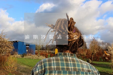 逾期抄报清卡会罚款 逾期抄报清卡会罚款