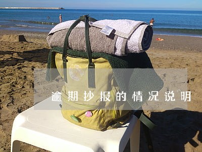 逾期抄报的情况说明 逾期抄报的情况说明
