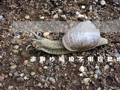 逾期抄报税不用罚款吗 逾期抄报税不用罚款吗