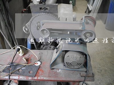 逾期抄报税可以远程抄报税吗 逾期抄报税可以远程抄报税吗