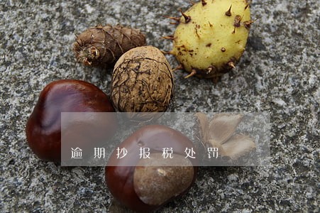 逾期抄报税处罚 逾期抄报税处罚