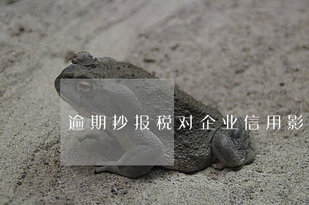 逾期抄报税对企业信用影响 逾期抄报税对企业信用影响