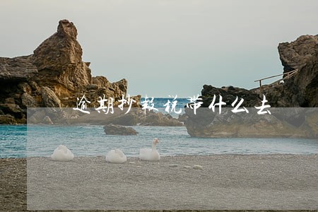 逾期抄报税带什么去 逾期抄报税带什么去