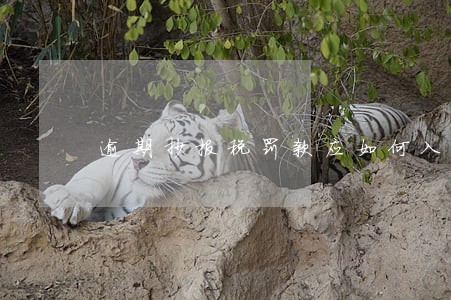 逾期抄报税罚款应如何入账 逾期抄报税罚款应如何入账