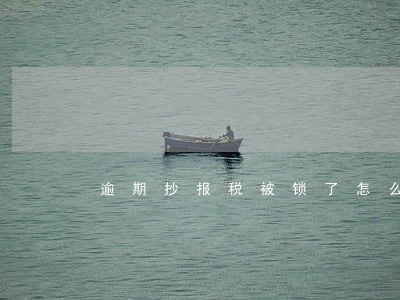 逾期抄报税被锁了怎么办