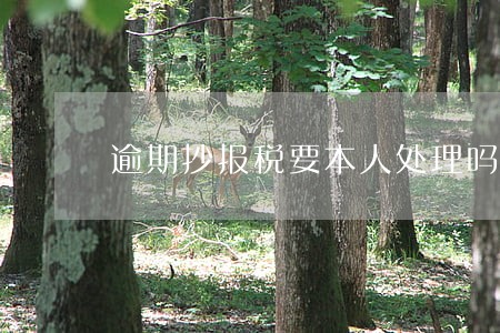 逾期抄报税要本人处理吗 逾期抄报税要本人处理吗