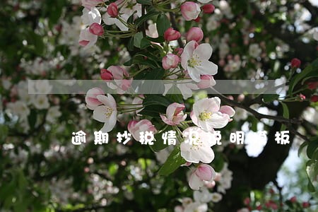 逾期抄税情况说明模板 逾期抄税情况说明模板