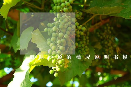 逾期抄税的情况说明书模板