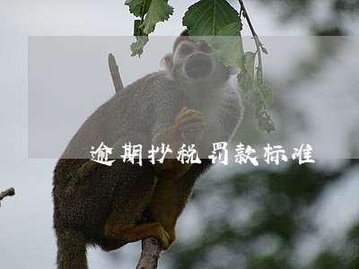 逾期抄税罚款标准 逾期抄税罚款标准
