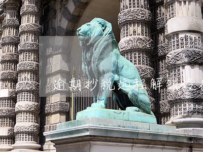 逾期抄税远程解锁设备申请 逾期抄税远程解锁设备申请