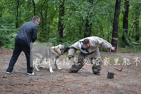 逾期把信息发给家里能不能告他