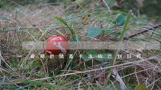 逾期把储蓄卡冻结还划扣吗