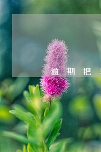 逾期把车开走报警 逾期把车开走报警