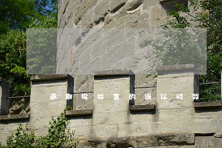 逾期投放金的诉讼时效 逾期投放金的诉讼时效