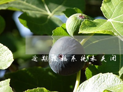逾期投稿系统未关闭 逾期投稿系统未关闭