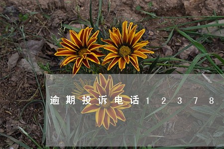逾期投诉电话12378 逾期投诉电话12378