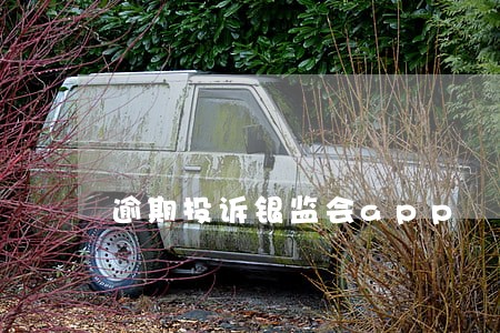 逾期投诉银监会app