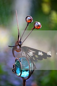 逾期投诉银监会写信模版 逾期投诉银监会写信模版