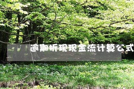 逾期折现现金流计算公式 逾期折现现金流计算公式
