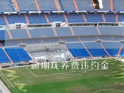 逾期抚养费违约金 逾期抚养费违约金