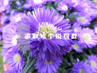 逾期报个税罚款 逾期报个税罚款