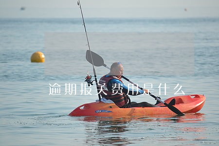 逾期报关费用是什么 逾期报关费用是什么
