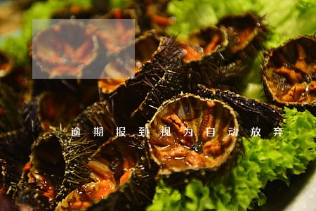 逾期报到视为自动放弃 逾期报到视为自动放弃
