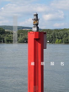 逾期报名申请书怎么写