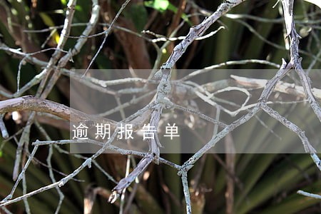 逾期报告单 逾期报告单