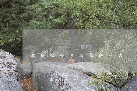 逾期报告多久更新一次 逾期报告多久更新一次