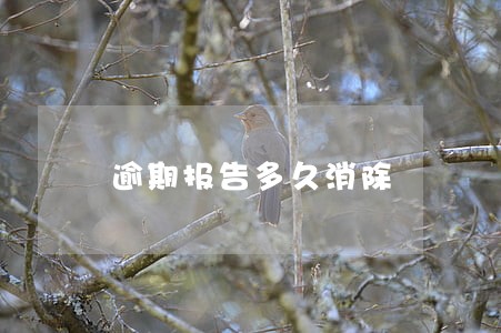 逾期报告多久消除 逾期报告多久消除