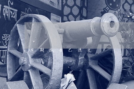 逾期报告已提交 逾期报告已提交