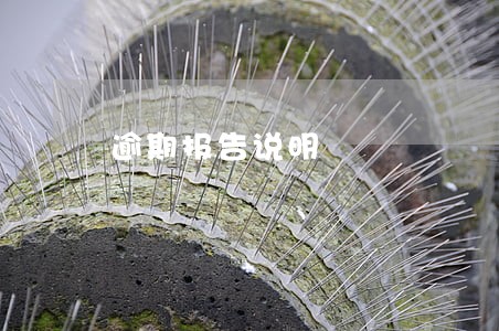 逾期报告说明