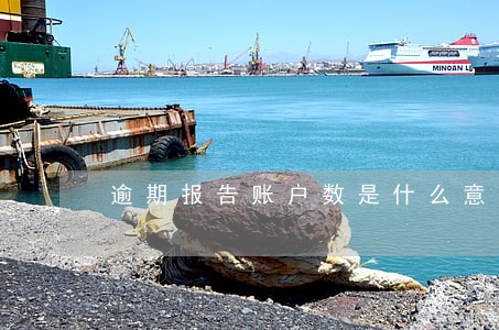 逾期报告账户数是什么意思 逾期报告账户数是什么意思